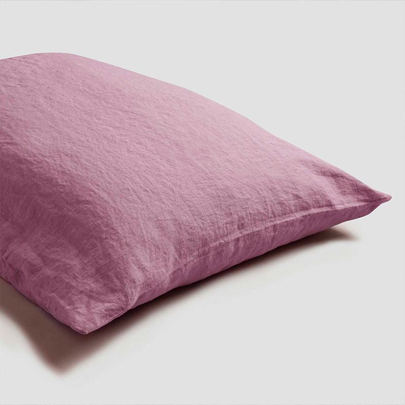 0051 RaspberryPillowcases