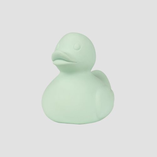 1200x1200 grey bg Seafoam Bath Duck 2