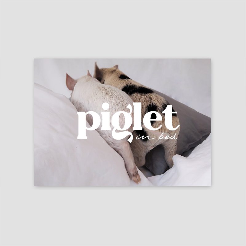 GiftCard PigletinBed